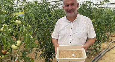 7 türde 50 çeşit tohumu 16 ülkeye ihraç ediyor
