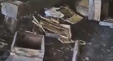 Aç kalan ayı arı kovanlarını parçaladı