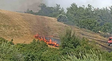 Adana'da anız yangını ağaçlara sıçradı