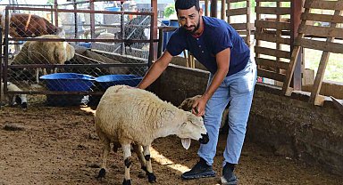 Adana'da kurban pazarları kurulmaya başladı, satıcılar dikkat edilmesi gerekenleri anlattı