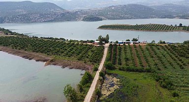 Adana'da nar çiçeklerinin görsel şöleni