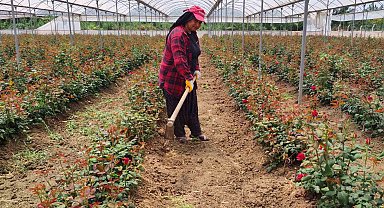 Adanalı hayırsever gül serası kurdu, gelirini çocuklara bağışladı