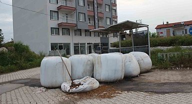 Afyonkarahisar'ın mezrayı hatırlatan 6 bin nüfuslu mahallesi