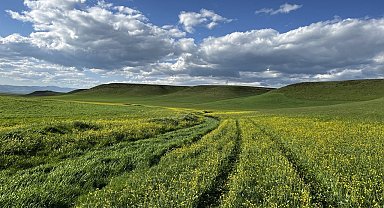 Ağrı yaz mevsimiyle beraber renklendi