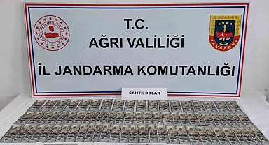 Ağrı'da Jandarmadan sahte dolar operasyonu