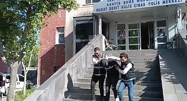 Ağrı'da oto faresi yakalandı