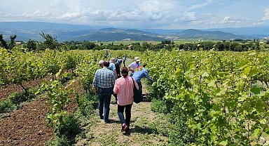 Akademisyenler bağ üreticileri ile buluştu