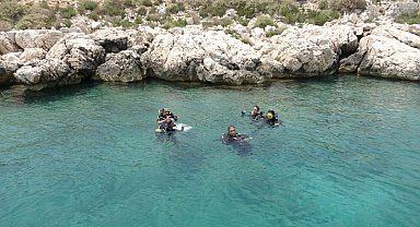Akdeniz Boğsak Adası çevresinde zengin biyoçeşitliliği gözlendi