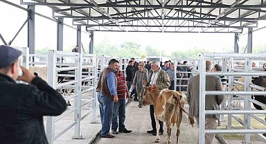 Akyazı Belediyesi Canlı Hayvan Borsası'na yoğun ilgi