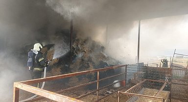 Alev alev yanan samanlıkta binlerce liralık zarar oluştu