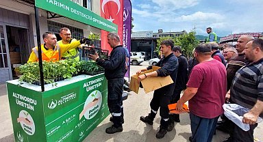 Altınordu'da çiftçilere 452 bin adet fide desteği