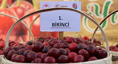 Amasya kiraz üretiminde Türkiye üçüncüsü