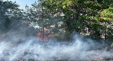Anız yangını ormana sıçradı, 3 dönüm makilik alan zarar gördü