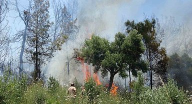 Anızdan başlayan yangın ormana sıçradı, 2 dönüm kızılçam ormanı yandı
