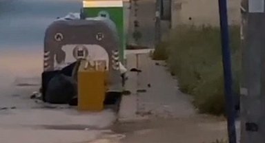 Ankara'da aşırı yağış sebebiyle fareler caddeleri bastı