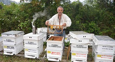 Antalya'da arı kovanlarının yeni adresi bin 960 metre rakımlı yaylalar