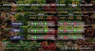 Antalya'da sebze fiyatlarında yüzde 36,69 düşüş