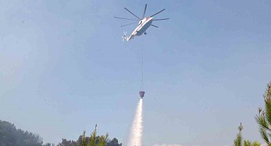 Antalya'daki orman yangını 1 saatte kontrol altına alındı