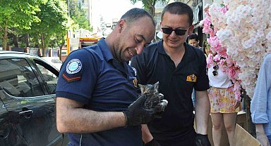 Aracın altına sıkışan yavru kedi itfaiye ekiplerince kurtarıldı