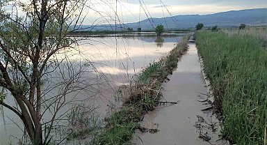 Aralıksız yağışlar tarımsal üretimi olumsuz etkiliyor
