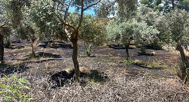 Arazi yangını büyümeden söndürüldü