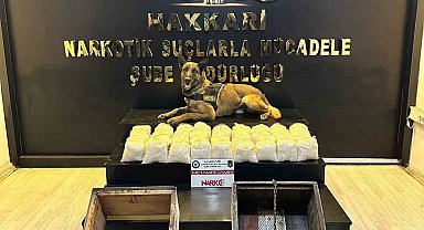 Arı kovanında uyuşturucu sevkiyatı Rüzgar'a takıldı