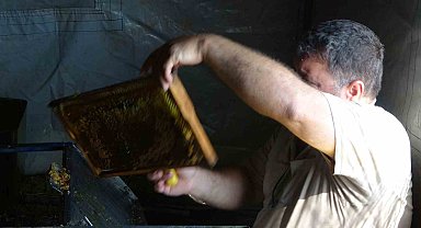 Arılar çalıştı, arıcıların sağım mesaisi başladı