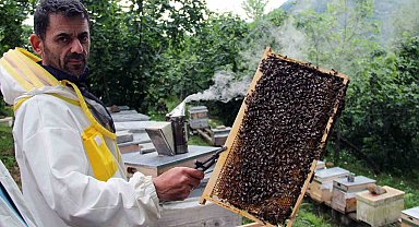 Arılar yağışlı hava şartlarından olumsuz etkilendi, bal rekoltesinde düşüş bekleniyor