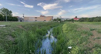 Arnavutköy'de iddiaya göre fabrikalardan atılan kimyasal madde derenin rengini değiştirdi