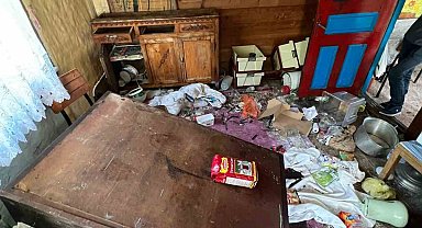 Artvin'de aç kalan ayı girdiği evin altını üstüne getirdi