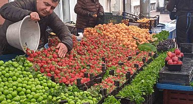 Aşırı yağışlar tezgahlardaki meyve ve sebzeyi etkiliyor