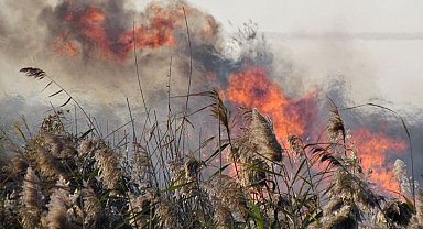 Aydınlı çiftçiler anız yakımına karşı uyarıldı