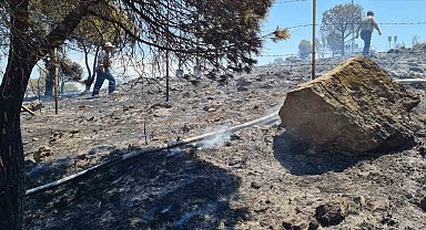 Ayvalık'ta kırsal alan yangınına bir helikopter ve iki yangın söndürme uçağı ile müdahale edildi