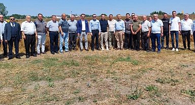 Babaeski'de tarla günü