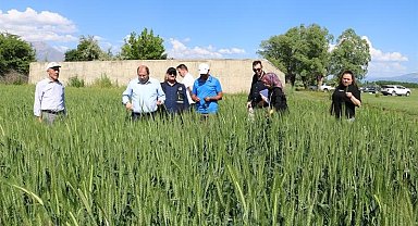 Bahar yağmurları çiftçinin yüzünü güldürdü