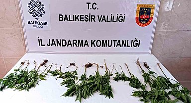 Balıkesir'de uyuşturucu operasyonunda iki kişi yakalandı
