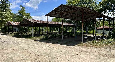 Bartın'da şap hastalığı nedeniyle hayvan pazarları kapatıldı