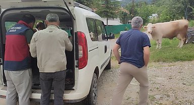 Bartın'da şap hastalığı sebebiyle 3 kilometrelik koruma bölgesi oluşturuldu