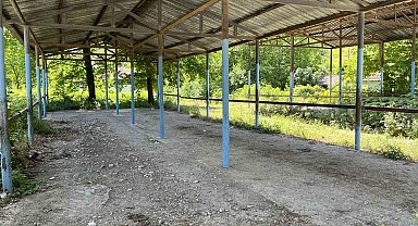 Bartın'ın Buğurlar köyünde şap hastalığı şüphesi