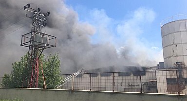 Başkent'te korkutan yangın: Mobilya fabrikasında yangın çıktı