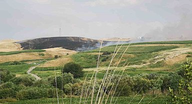 Batman'da tarla yangınında 400 dönüm buğday küle döndü