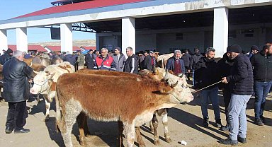 Bayburt'ta Kurban Bayramı heyecanı