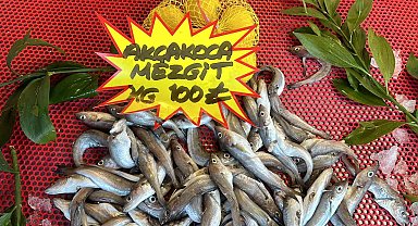 Bayram öncesi balık tezgahlarında son durum