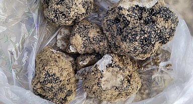 Belevi'nin dağlarından trüf fışkırıyor