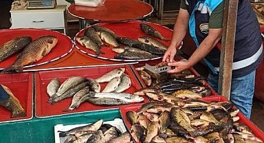 Beyşehir'de balık boy denetimleri