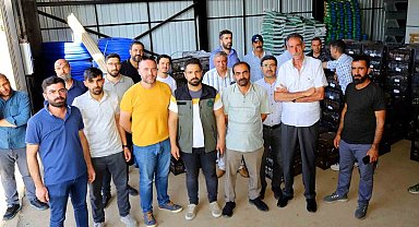 Bingöl'de 170 bin adet çilek fidesi dağıtıldı