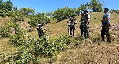 Bingöl'de aşılama çalışması yapıldı