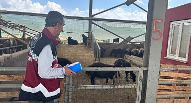 Bingöl'de kurbanlıklar ekipler tarafından kontrol ediliyor