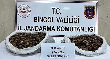 Bingöl'de salep soğanı toplayan şahıslara 488 bin 630 lira para cezası kesildi