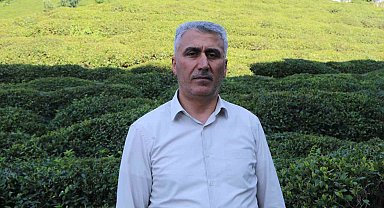 Birinci sürgünde çay üreticisinin tercihi özel sektör firmaları oldu